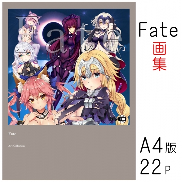 【在庫SALE】 Fate 画集 二次創作 同人 オールカラー画集  18禁 R-18 R18 tk-dab1005